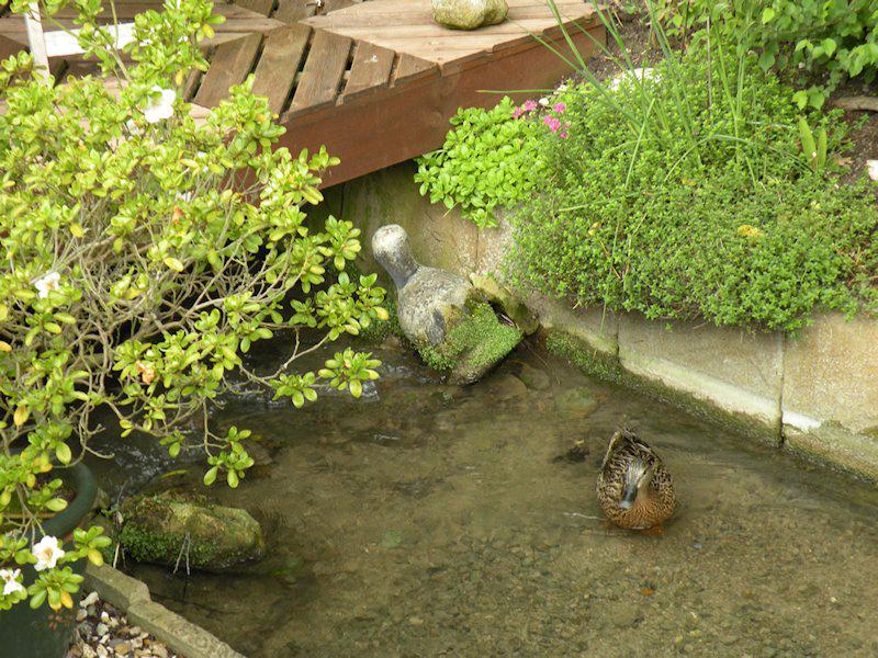 © Eileen Bennett 2012